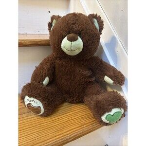 Build A Bear Girl Scout Thin Mint Teddy Bear Plush Stuffed Animal 15" Toy
